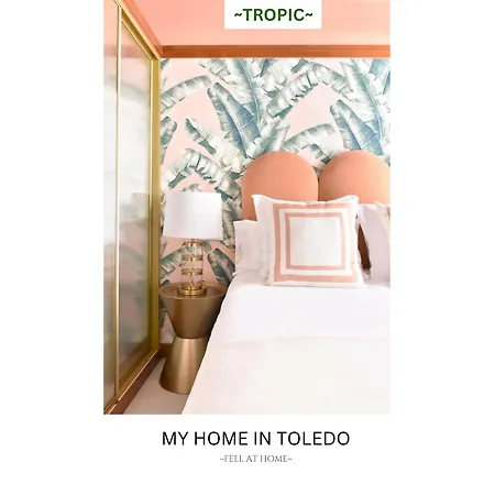 公寓 -tropic- By Myhomeintoledo 托萊多